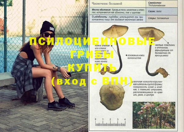 экстази Балахна